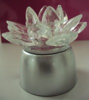 Flor de lótus com base